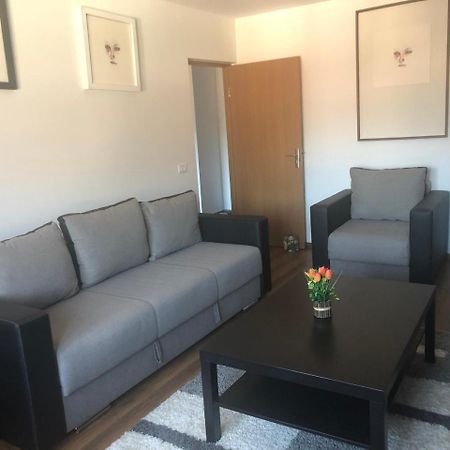 Apartament Belvedere Călimăneşti Εξωτερικό φωτογραφία